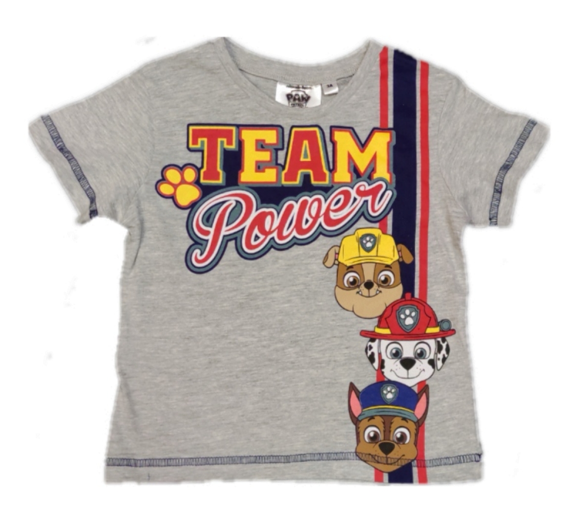 PAW Patrol T-Shirt Grau "Team Power"